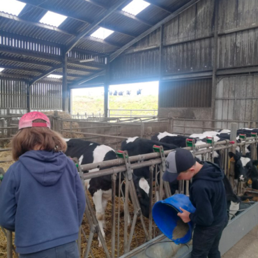 Ferme-de-la-lorette-ferme-découverte-plogonnec-activites-eveil-a-la-ferme