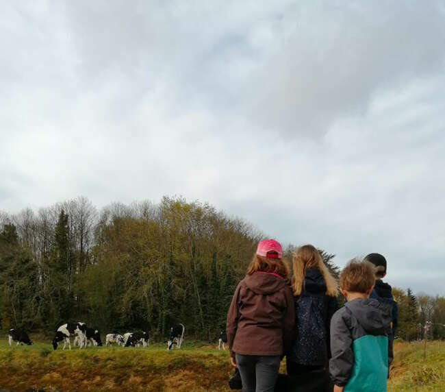 Ferme-de-la-lorette-ferme-découverte-plogonnec-galerie-photo-vaches-laitieres-champ-campagne-activites-enfants