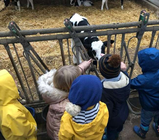 Ferme-de-la-lorette-ferme-découverte-plogonnec-activites-accueil-groupe