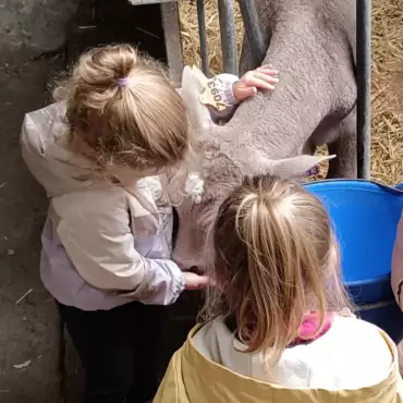 Ferme-de-la-lorette-ferme-découverte-plogonnec-activites-eveil-a-la-ferme