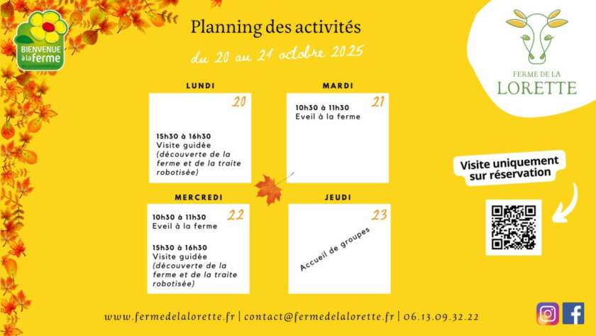 Planning des activités des vacances de la Toussaint 2025