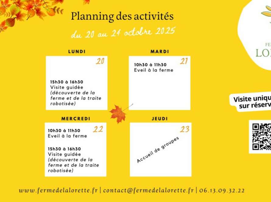 Planning des activités des vacances de la Toussaint 2025